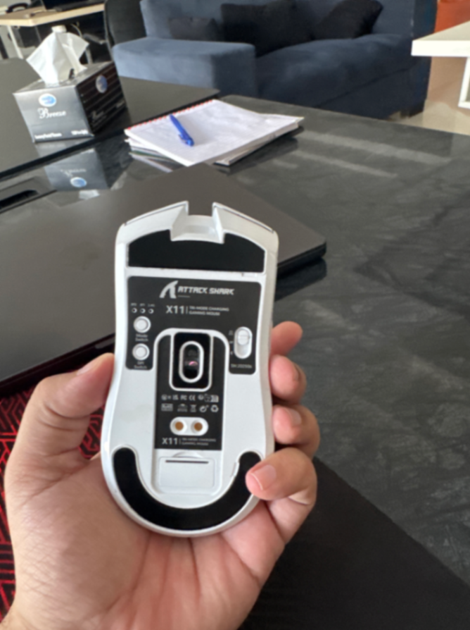 used attach shark mouse — 2